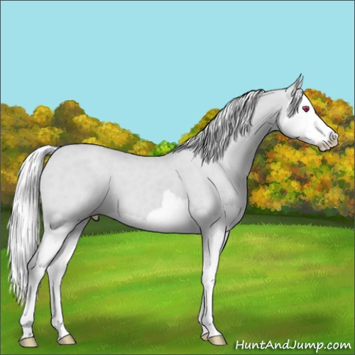 Horse Color:Silver Classic Champagne Chinchilla Splash 