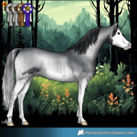 Horse Color:Blue Onyx Chinchilla Splash Brindle 