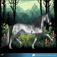 Horse Color:Blue Onyx Chinchilla 