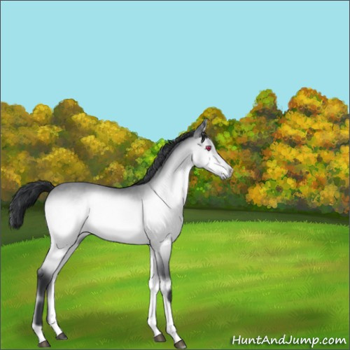 Horse Color:Brown Chinchilla Onyx 