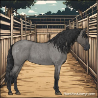Horse Color:Grullo Roan Sabino Rabicano 