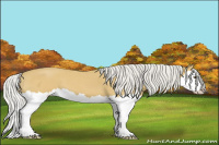 Horse Color:Silver Buckskin Roan Splash 