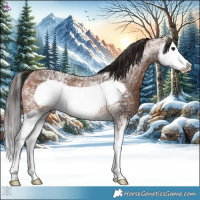 Horse Color:Bay Ice Splash Frame 
