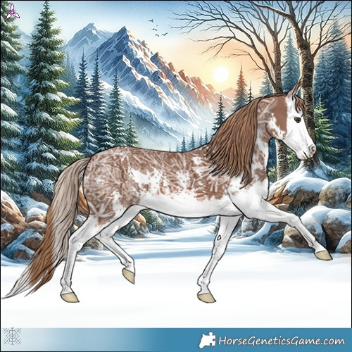 Horse Color:Chestnut Ice Sabino Splash 