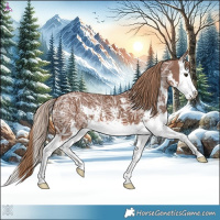 Horse Color:Chestnut Ice Sabino Splash 