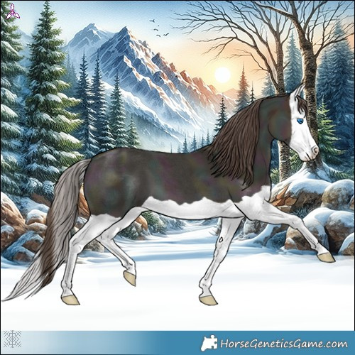 Horse Color:Midnight Classic Champagne Ice Dun Splash 