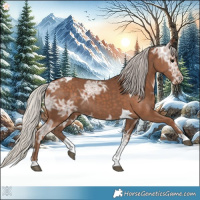 Horse Color:Silver Black Ice Tobiano 