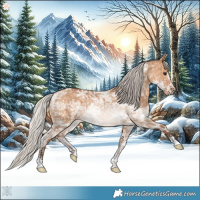 Horse Color:Silver Bay Ice Dun