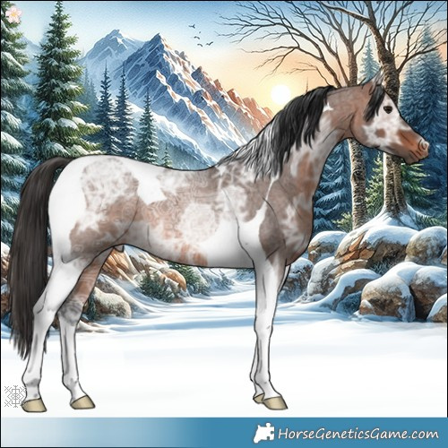Horse Color:Brown Ice Roan Tobiano 