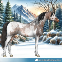Horse Color:Brown Ice Roan Tobiano