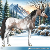 Horse Color:Brown Ice Roan Tobiano 