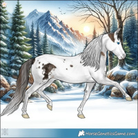 Horse Color:Bay Ice Dun Sabino Splash Tobiano