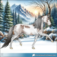 Horse Color:Gray Bay Ice Tobiano Frame