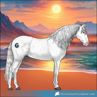 Horse Color:Silver Grullo Roan Appaloosa Rabicano 