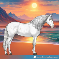 Horse Color:Silver Grullo Roan Blanket Rabicano 