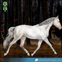 Horse Color:Silver Bay Roan Dun Tobiano Appaloosa Rabicano
