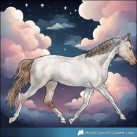 Horse Color:Red Dun Roan Tobiano Varnish Rabicano 