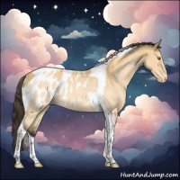 Horse Color:Buckskin Roan Tobiano Blanket Rabicano