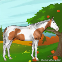 Horse Color:Silver Bay Splash Tobiano 