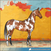 Horse Color:White Spotted Bay