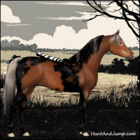 Horse Color:Gray Void Silver Bay Tobiano