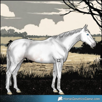Horse Color:Gray Silver Bay Splash Tobiano 
