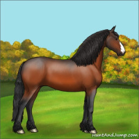 Horse Color:Brown 