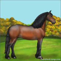 Horse Color:Brown 