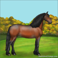 Horse Color:Brown 