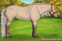 Horse Color:Silver Bay Roan Dun Snowflake Varnish Rabicano 