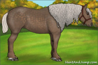 Horse Color:Silver Black 
