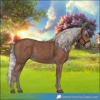 Horse Color:Silver Black 