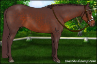 Horse Color:Chocolate Brown 
