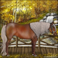 Horse Color:Chocolate Silver Brown