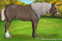 Horse Color:Silver Black 