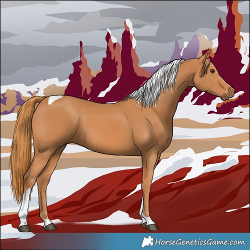 Horse Color:Chestnut Tobiano 