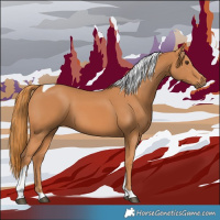 Horse Color:Chestnut Tobiano 