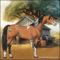 Horse Color:Bay Splash Tobiano 