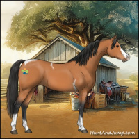 Horse Color:Bay Splash Tobiano 