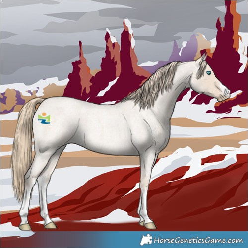 Horse Color:White Spotted Smoky Creme Roan 
