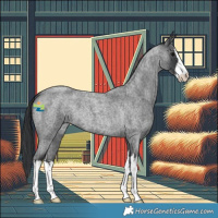 Horse Color:White Spotted Blue Roan 