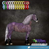 Horse Color:Watercolor Silver Black Ice Sabino Rabicano 