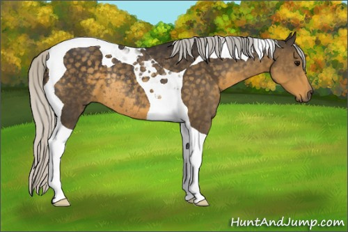 Horse Color:Silver Smoky Black Tobiano Rabicano 