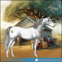 Horse Color:Blue Roan Splash Near Fewspot 