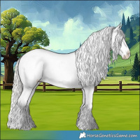 Horse Color:Silver Bay Roan Dun Appaloosa Rabicano 