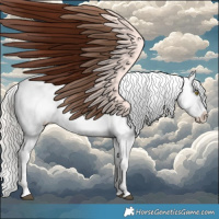 Horse Color:Silver Bay Roan Dun Appaloosa Rabicano