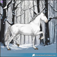 Horse Color:Silver Brown Roan Dun Appaloosa Rabicano