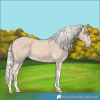 Horse Color:Cremello Tobiano