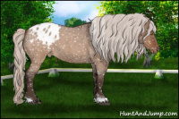 Horse Color:Silver Bay Roan Dun Tobiano Snowflake Varnish Rabicano 