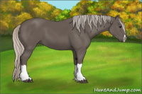 Horse Color:Silver Black 